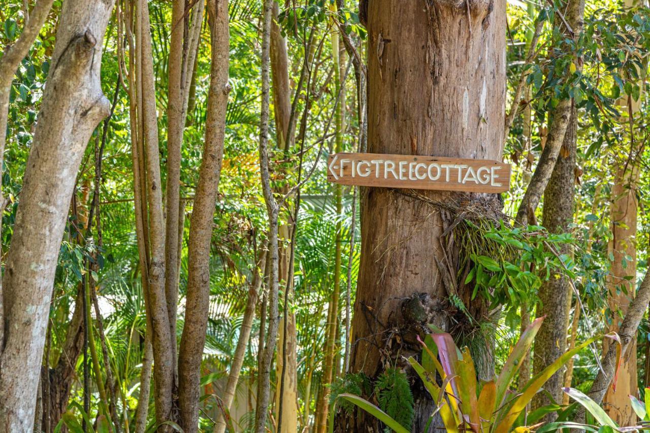 Hunchy Hideaway Aparthotel Montville Ngoại thất bức ảnh